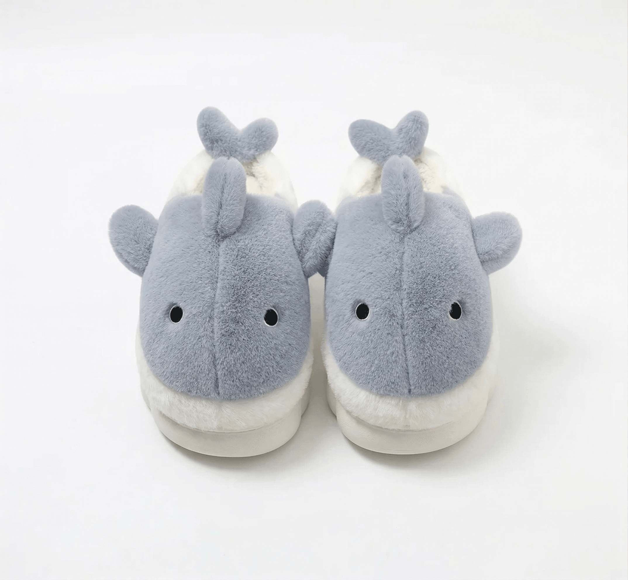 Fluffy Shark