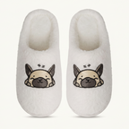 Frenchie sleeping love