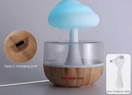 Rain Cloud Mushroom Diffuser